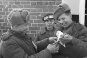 Негласные профессии