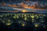 Всемирный день фотографии